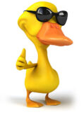 Cool Duck